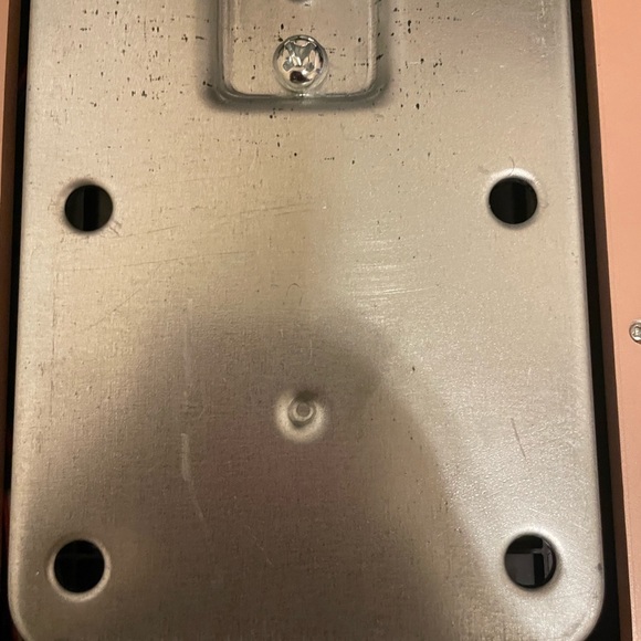 Small pink scale - Picture 3 of 7